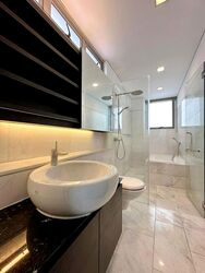 Radiance @ Bukit Timah (D21), Terrace #538369891